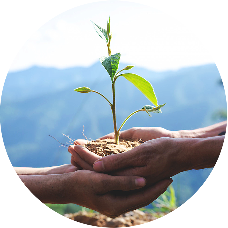 verde gestión consúltenos