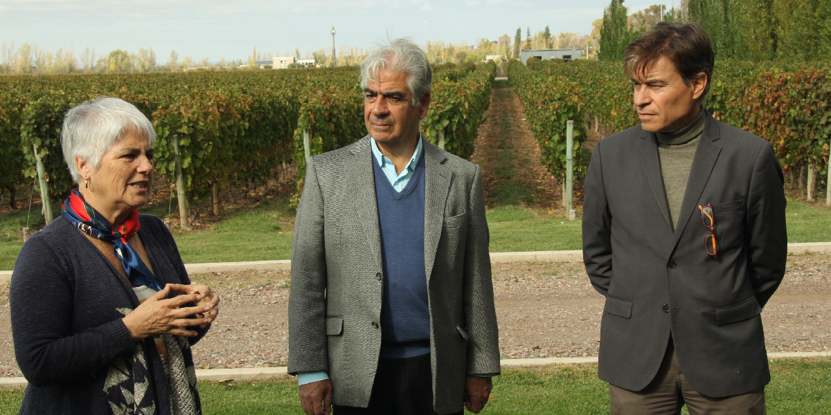 slidesHistoriaVerdeGestion-02