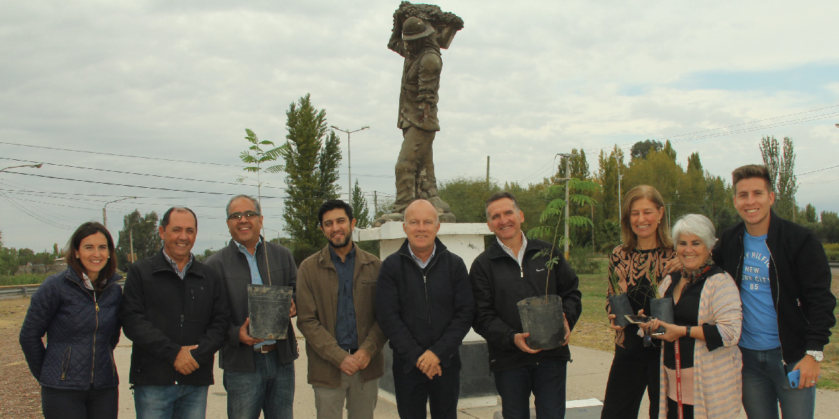 slidesHistoriaVerdeGestion-05