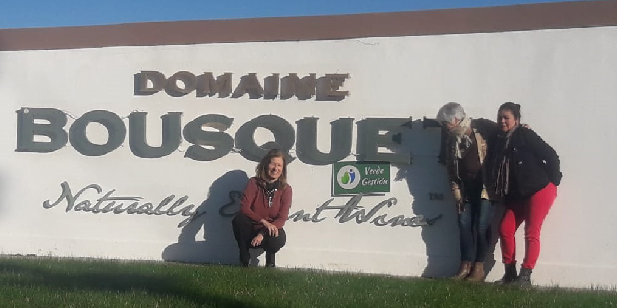 slidesHistoriaVerdeGestion-08