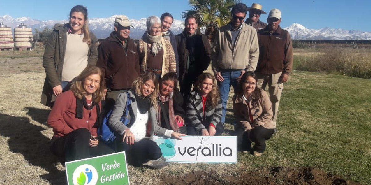 slidesHistoriaVerdeGestion-10